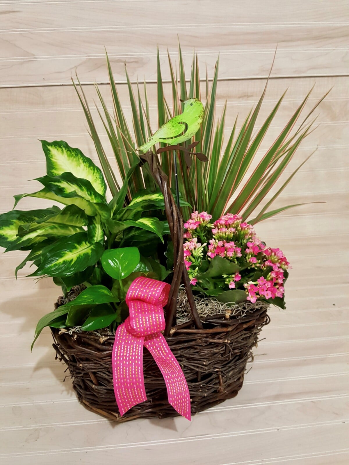 European Dish Garden Blossom Town Florist Floral Delivery 56283