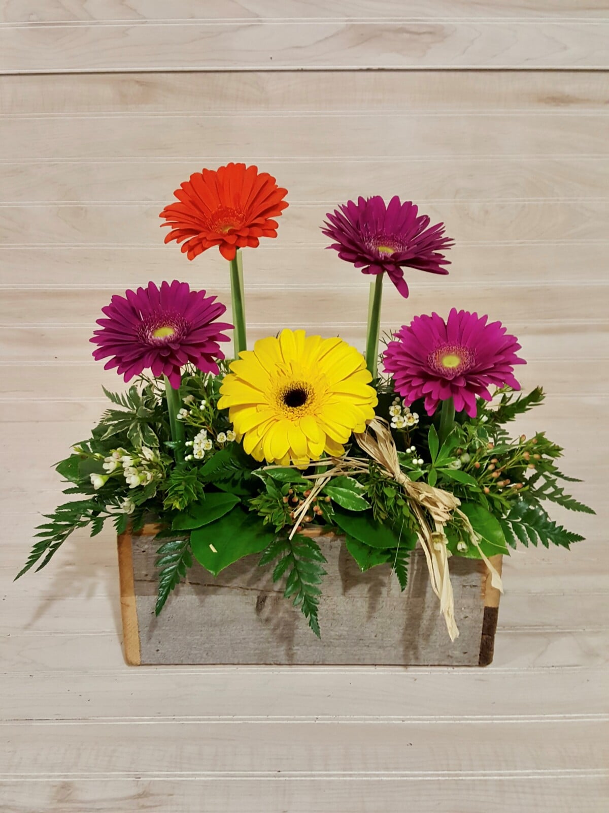 Rustic Gerbera Daisies Blossom Town Florist Floral Delivery 56283