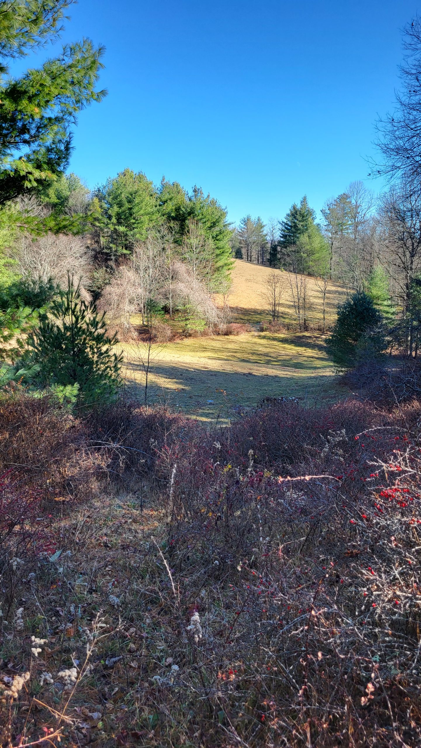 Trails We Took in November ⋆ Blowing Rock