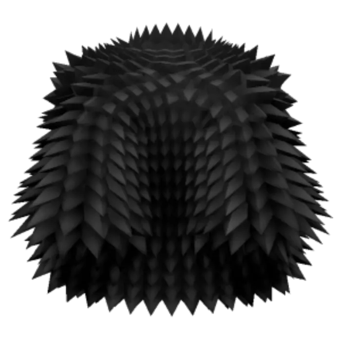 Black Spikey Coat Value Blox Fruits