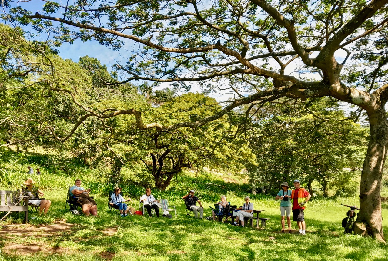 BE KZN SitIn Portman Park, Westville BirdLife eThekwini KZN