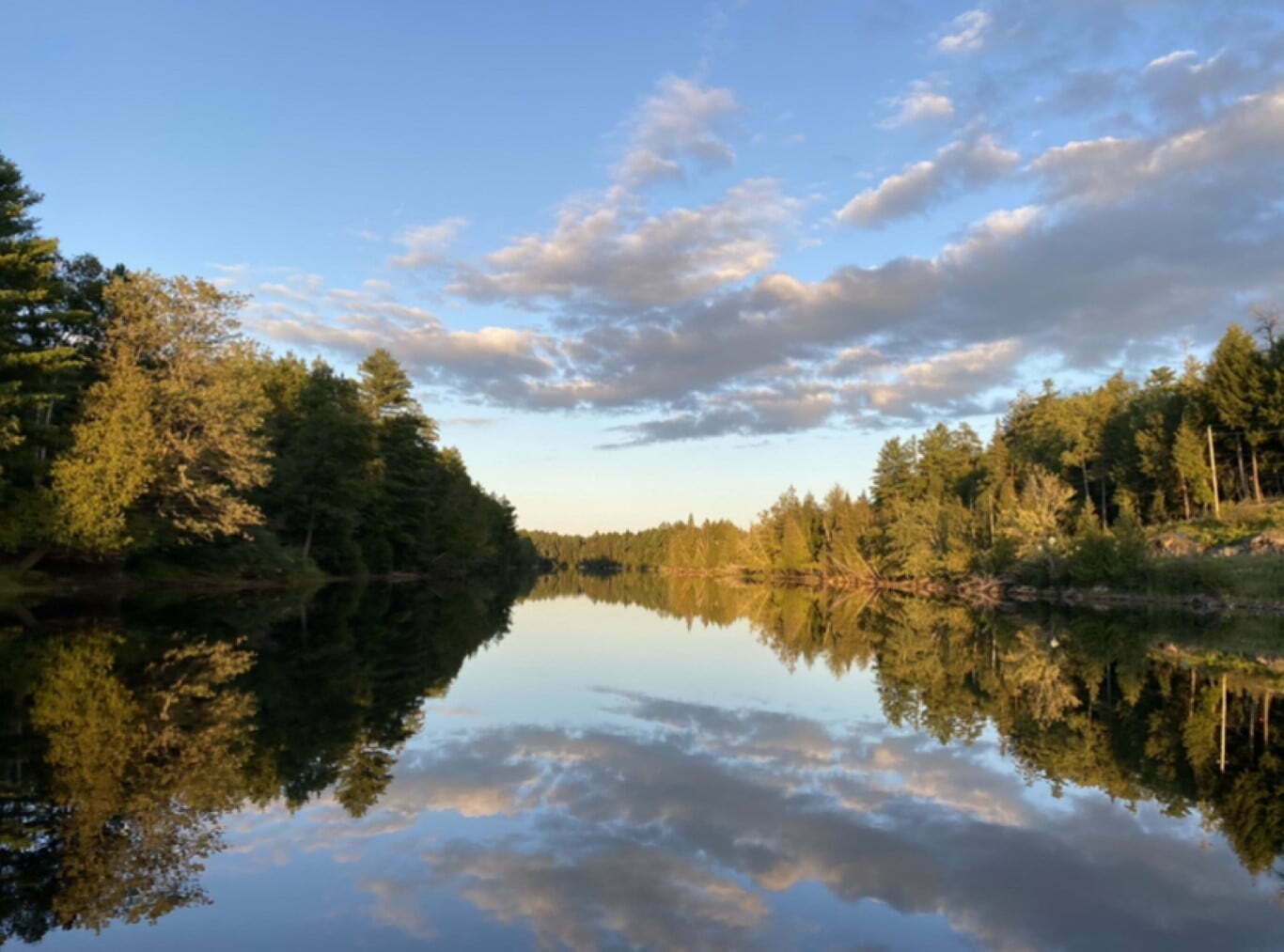 The Natural Beauty of Brudenell, Lyndoch and Raglan Brudenell