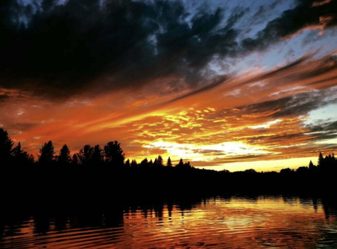 The Natural Beauty of Brudenell, Lyndoch and Raglan Brudenell