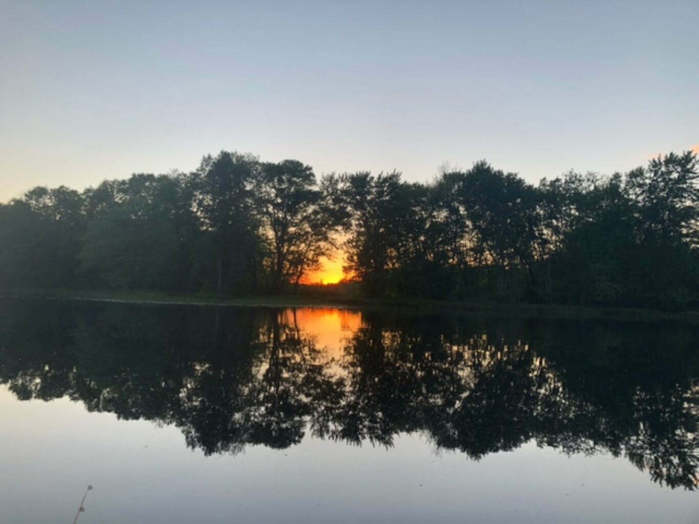 The Natural Beauty of Brudenell, Lyndoch and Raglan Brudenell