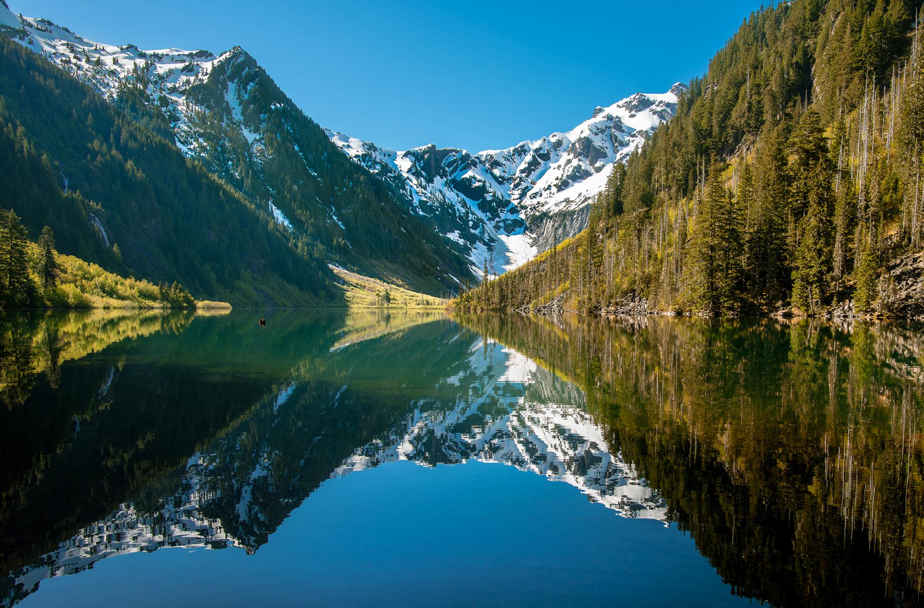 Home Washington Department of Revenue