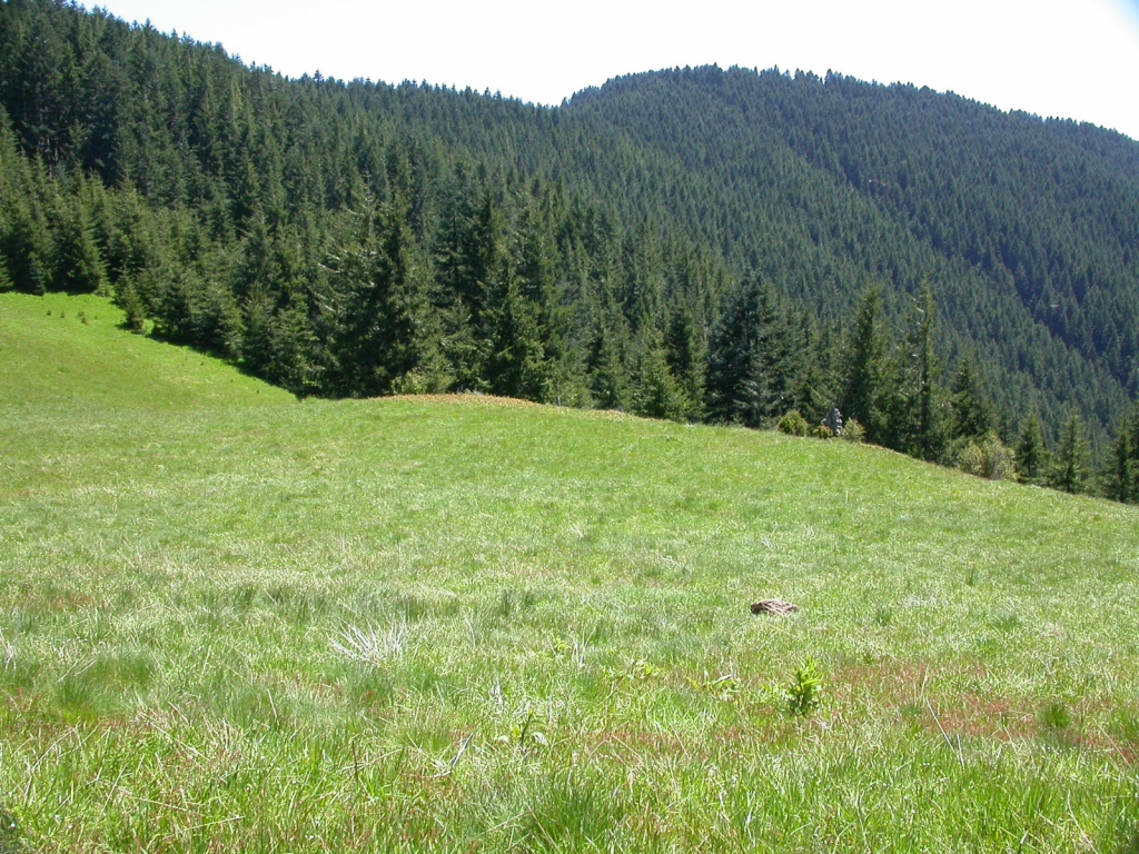 Box Springs Box Springs Water Company