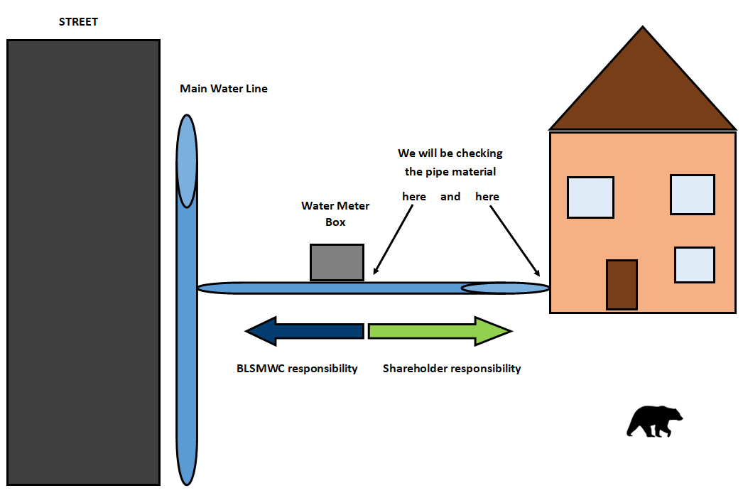 Lead Service Line Inventory Blue Lake Springs Mutual Water Company