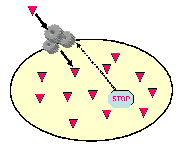 Embryonic development and the immune response are two examples of where this communication is used. Bio 1.2.1 - NC Bio