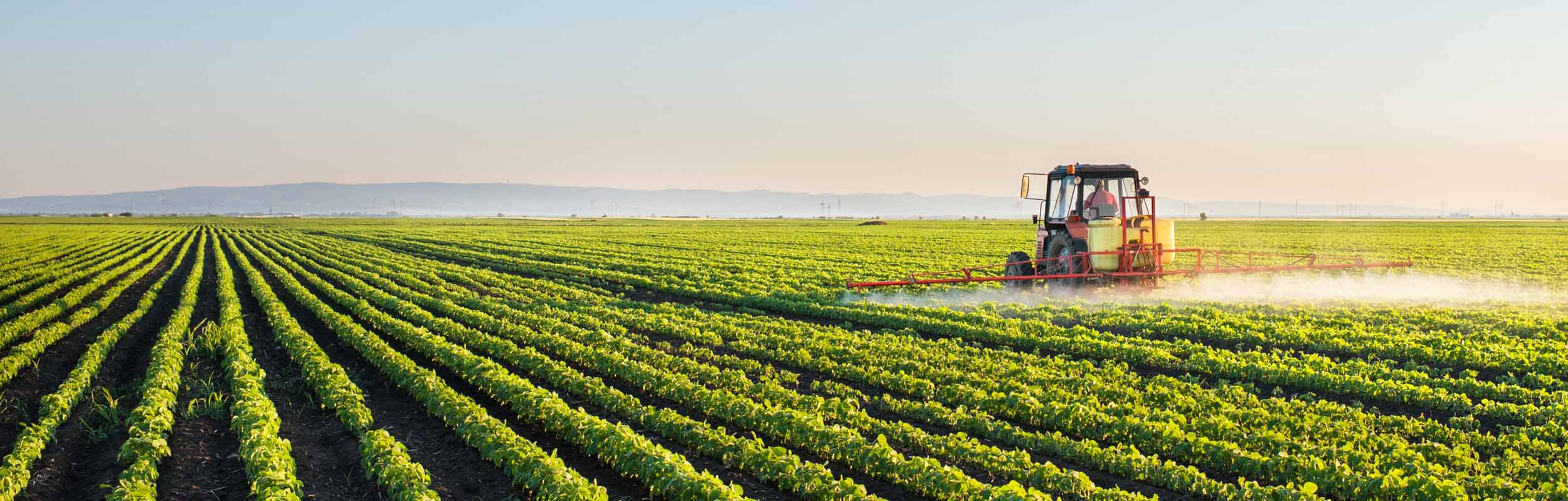 Bare Land Blueinc. Capital