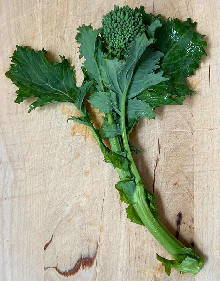 A promising hint of spring Broccoli Rabe and Chicken Quiche Blue Kitchen