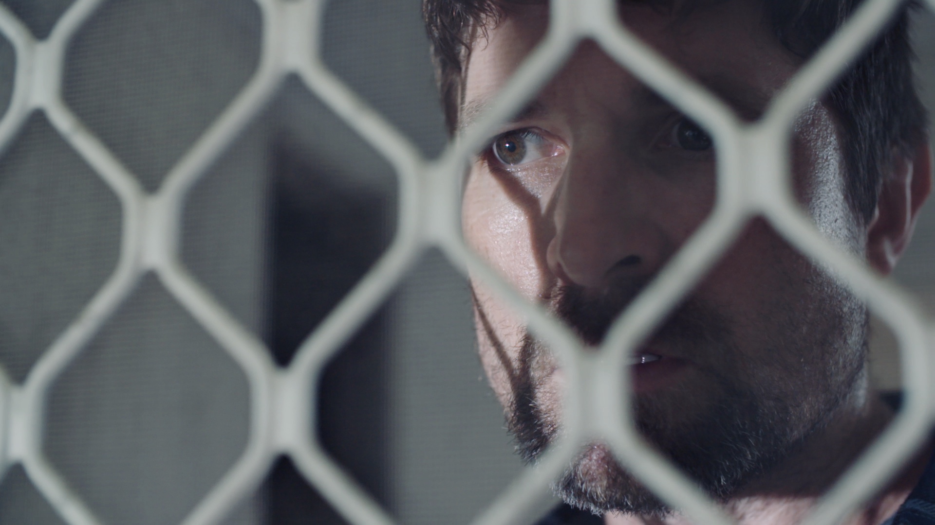 Blue Ant Media Continues FAST Channel Expansion in the U.S. with the