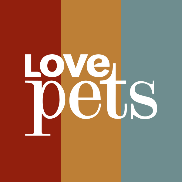 FAST Channels Blue Ant Media