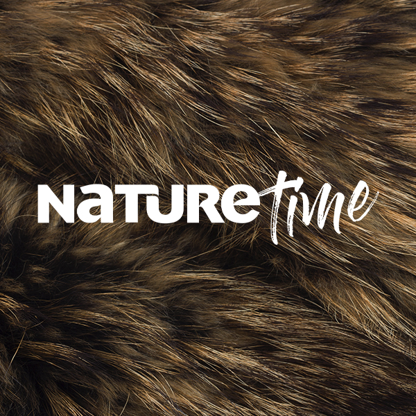 FAST Channels Blue Ant Media