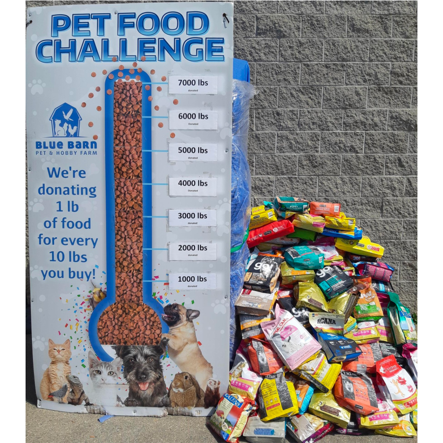 What We Do Blue Barn Community Cares