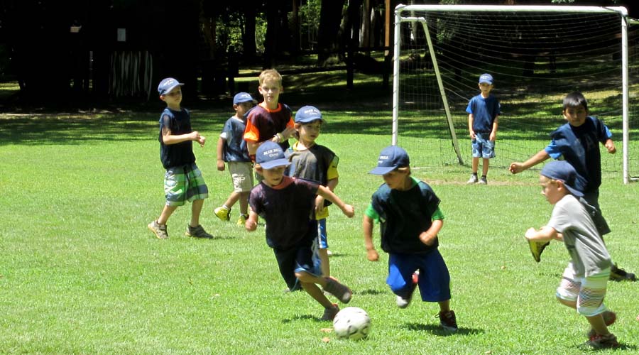 Blue Bell Camp Children's Summer Day Camp