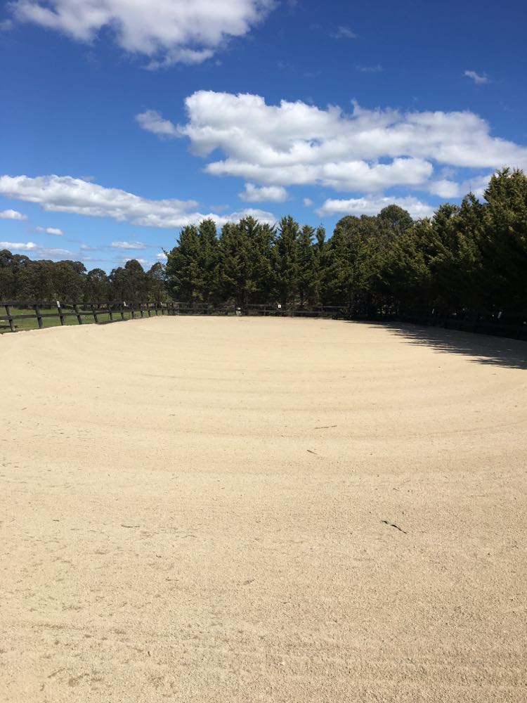 BlueBell Equine Park Elite Level Equine Park providing riding lessons
