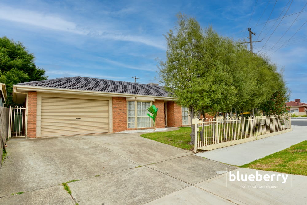Blueberry Real Estate Melbourne Real Estate Melbourne