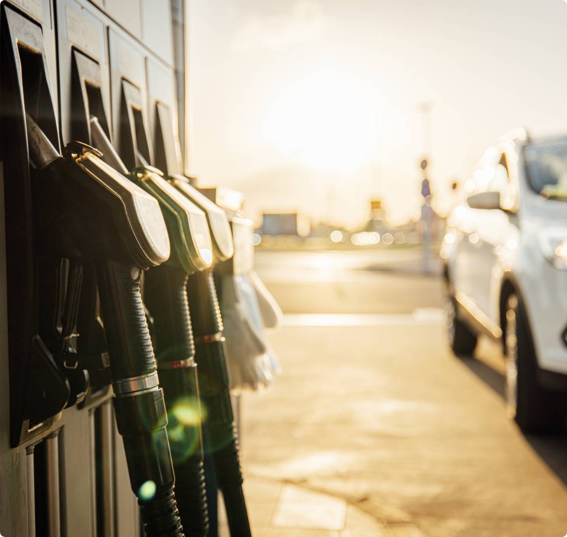 Technology Overview Blue Biofuels