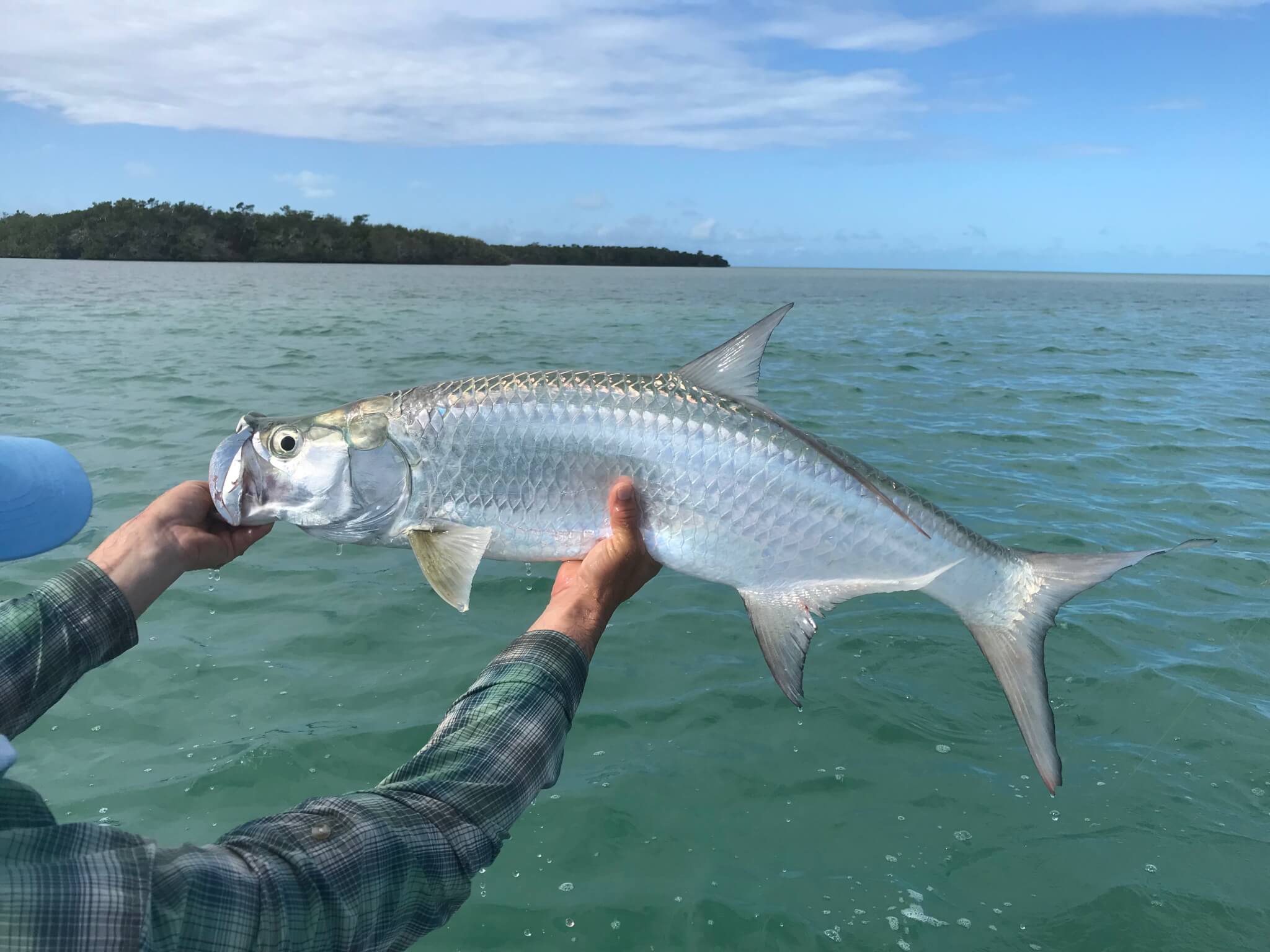 Fly Fishing Belize Fishery, Seasons, Guides, Lodging & More