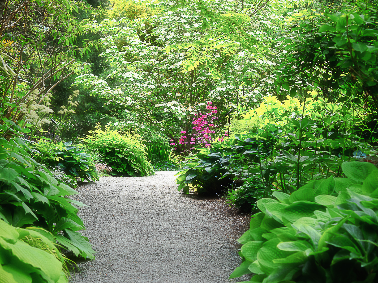 Bellevue Botanical Garden « bluebrightly