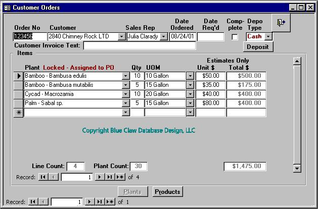 Microsoft Access Form Design Guide User Interface Design Examples