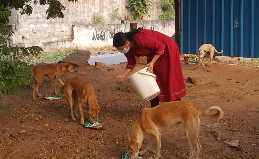 Safety Rules for Animal Welfare Blue Cross of Hyderabad