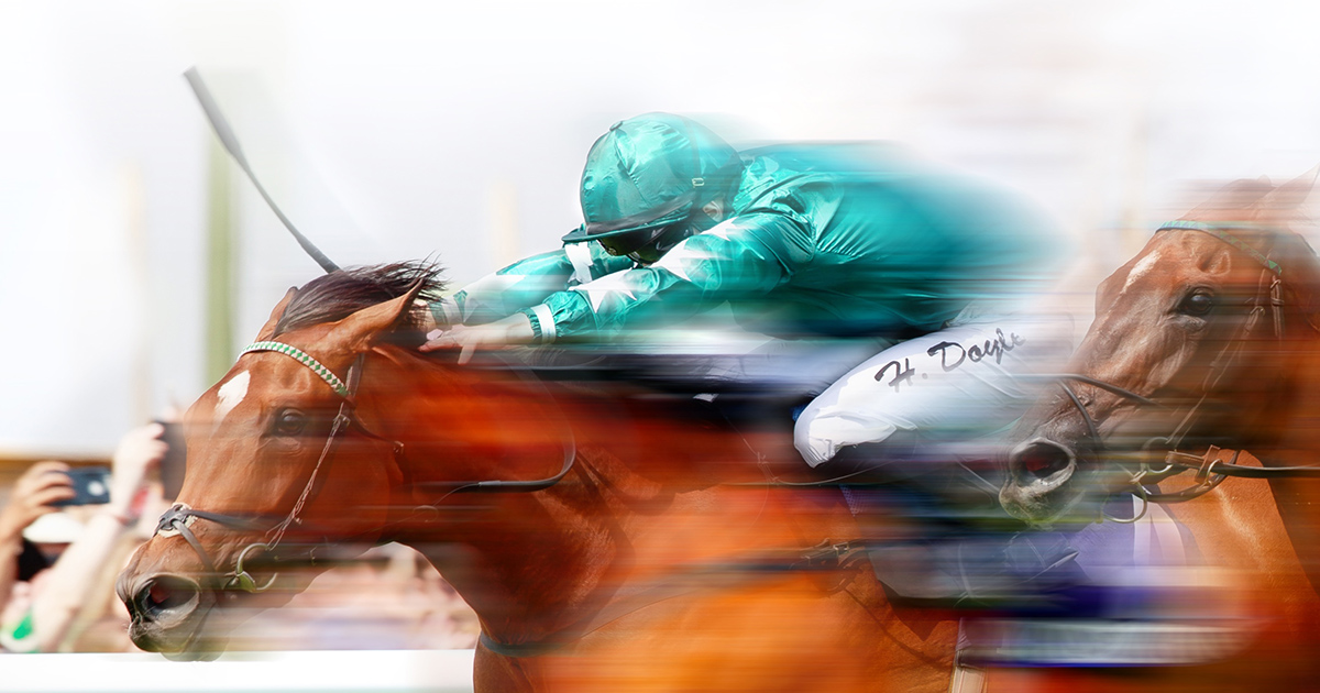 Group 1 success as BDSbred Hotazhell lands Futurity thriller Blue