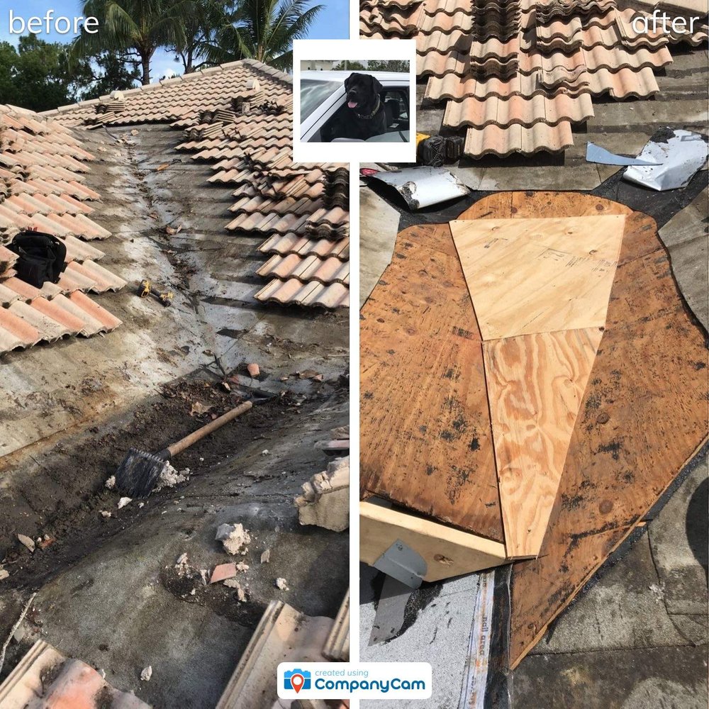 Portfolio Blue Dog Roofing & Construction