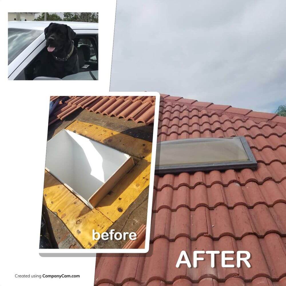 Services BLUE DOG ROOFING & CONSTRUCTION