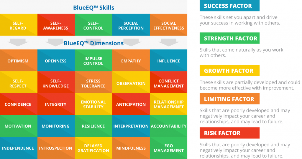 Emotional Intelligence Test BlueEQ