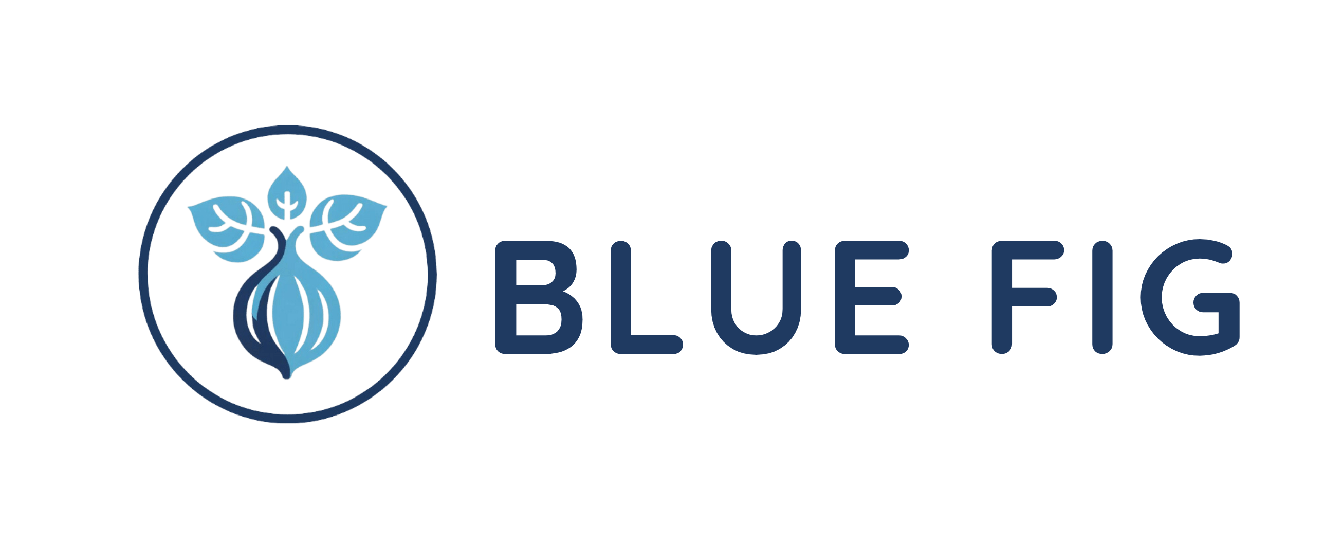 Blue Fig Blue Fig’s mission is clear we’re dedicated to empowering
