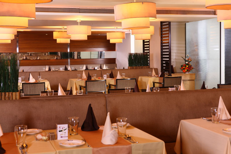 Bluefox Multi Cuisine Fine Dining Restaurant