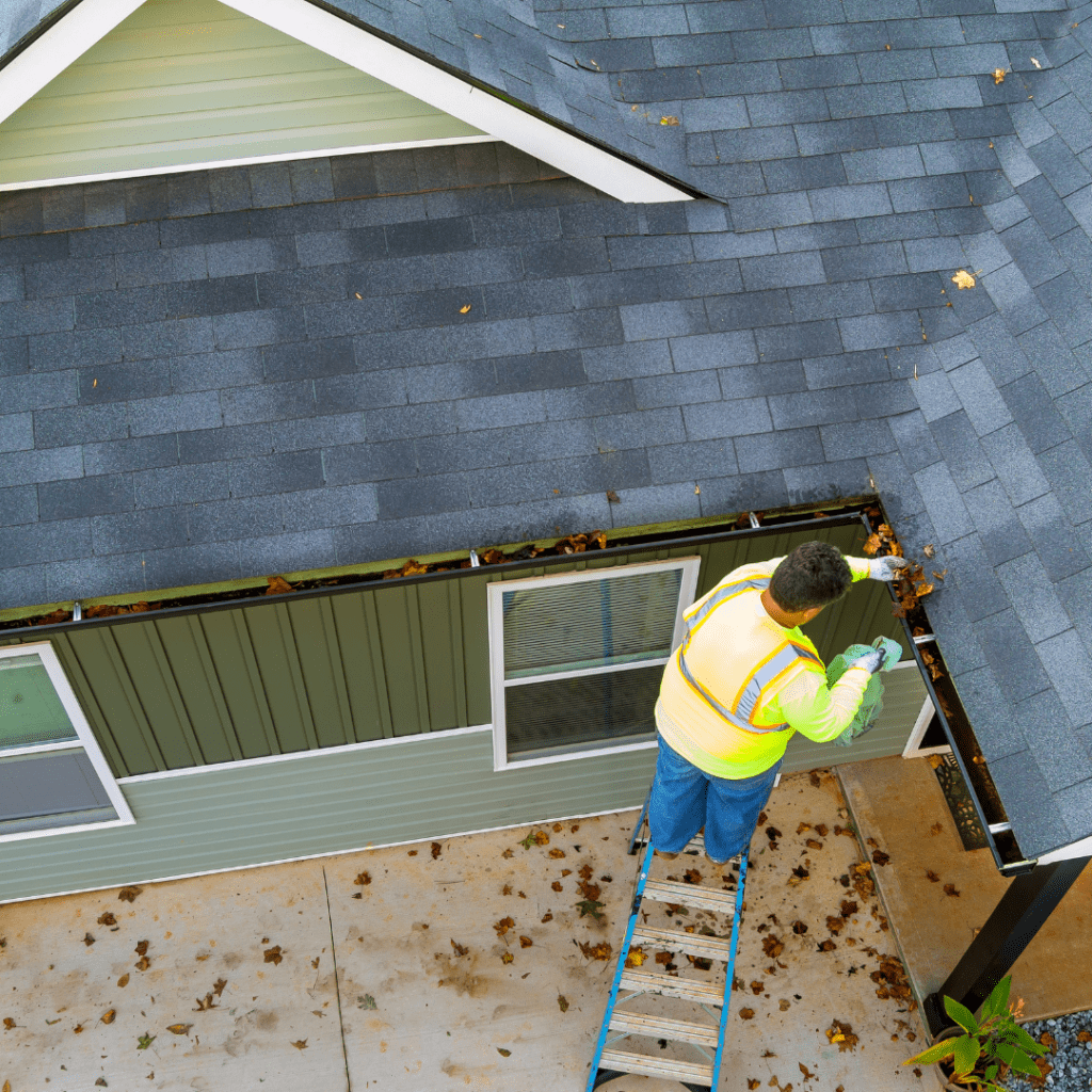 Why Preventative Roof Maintenance Is Better Than Repairs Blue Frog