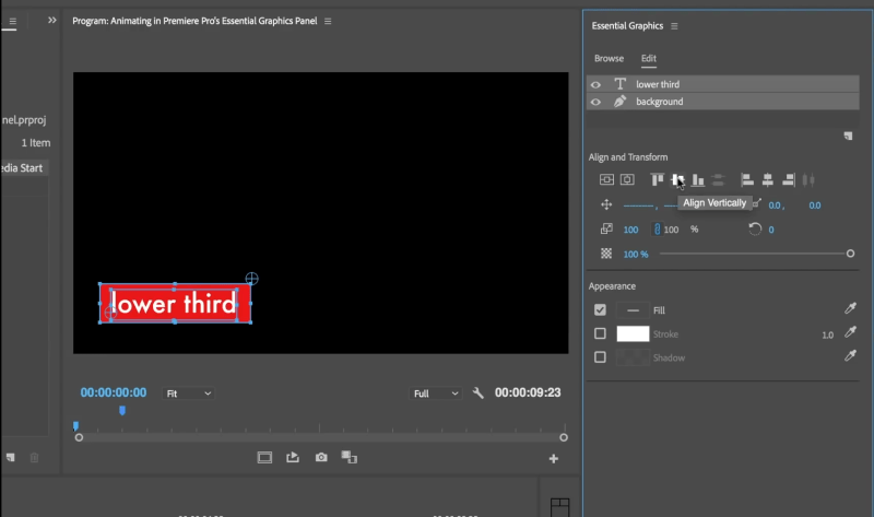 Basic Animation Techniques Inside Premiere Pro BlueFx