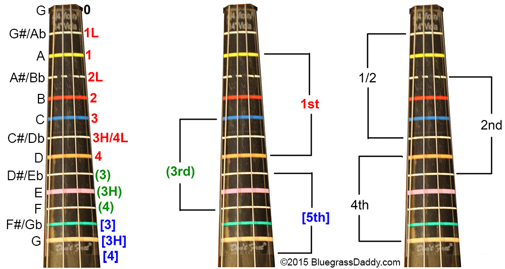 Hand and Finger Positions for Violin online fiddle