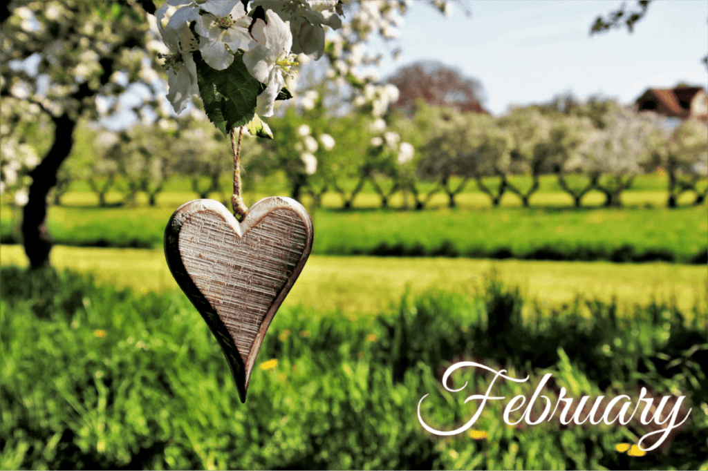 What's Growing On at Blue Grass Blue Grass Nursery, Sod and Garden