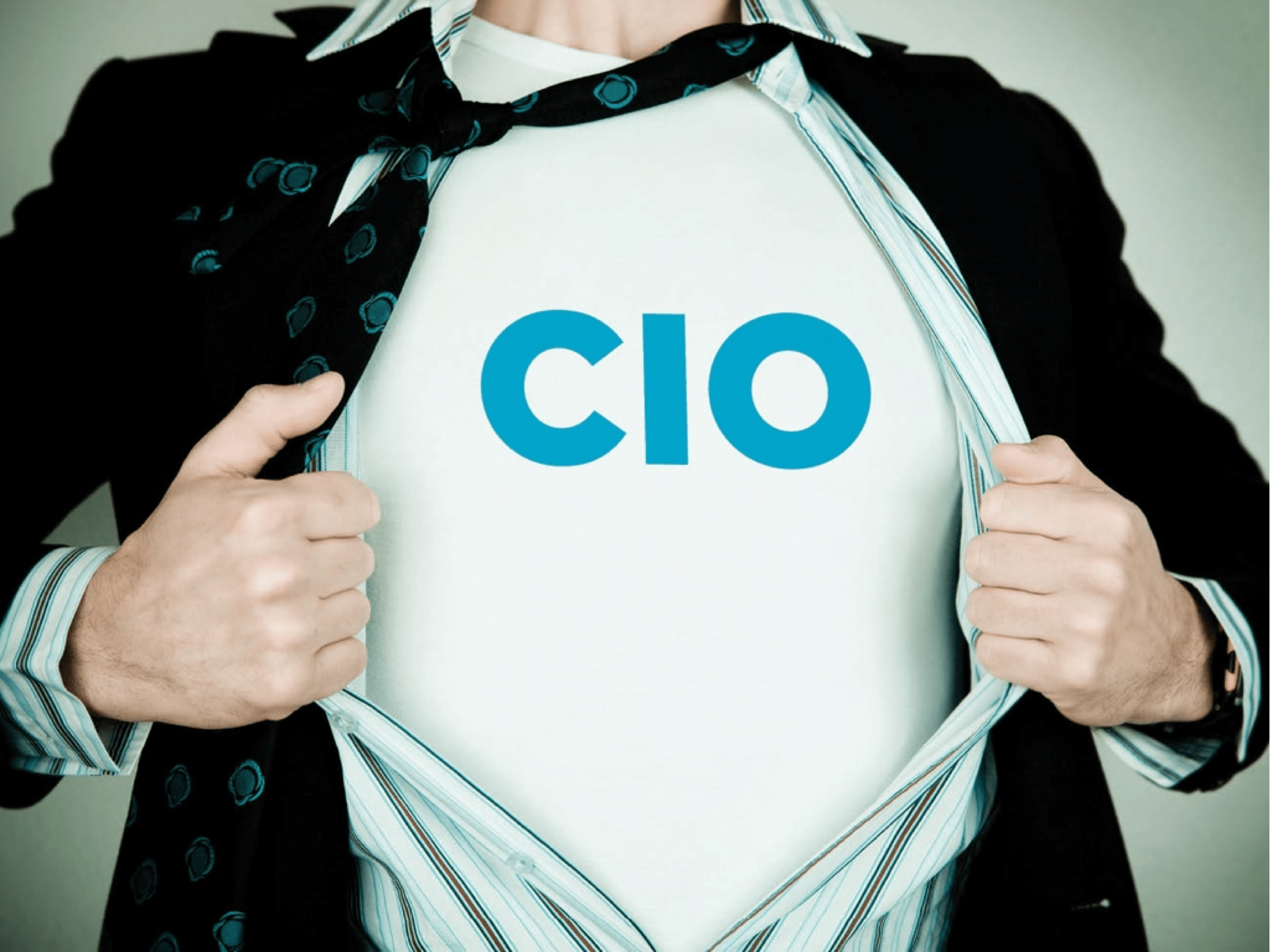 10 Bold CIO Tactics for 2013 Blue Harbors