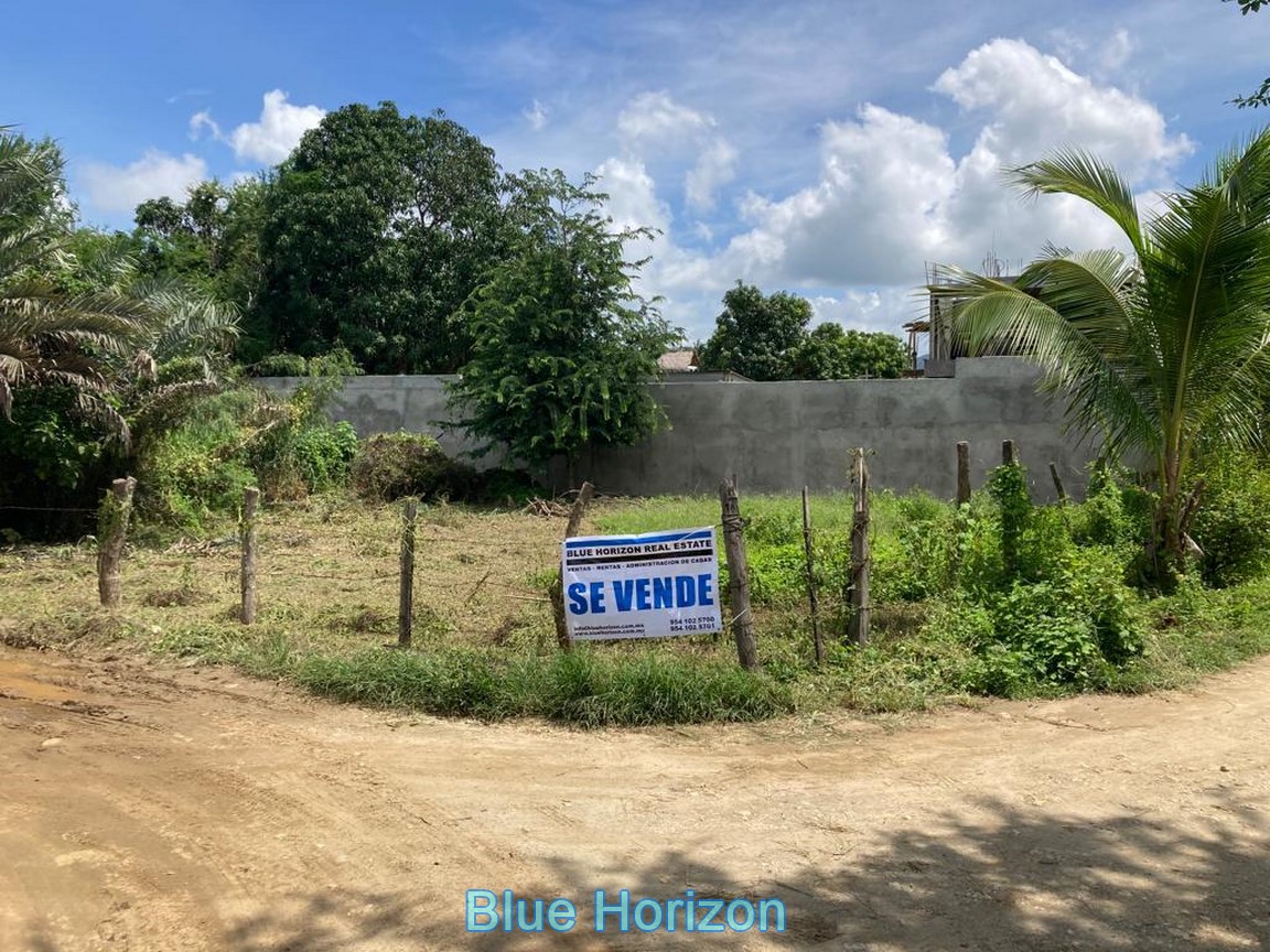 Property For Sale On Barra at Raymond Parkman blog