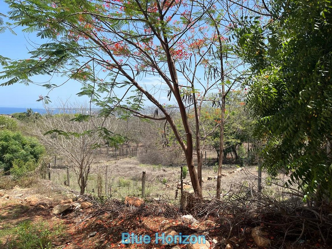 Lot Punta Puerto Escondido for sale only a few min. from the beach
