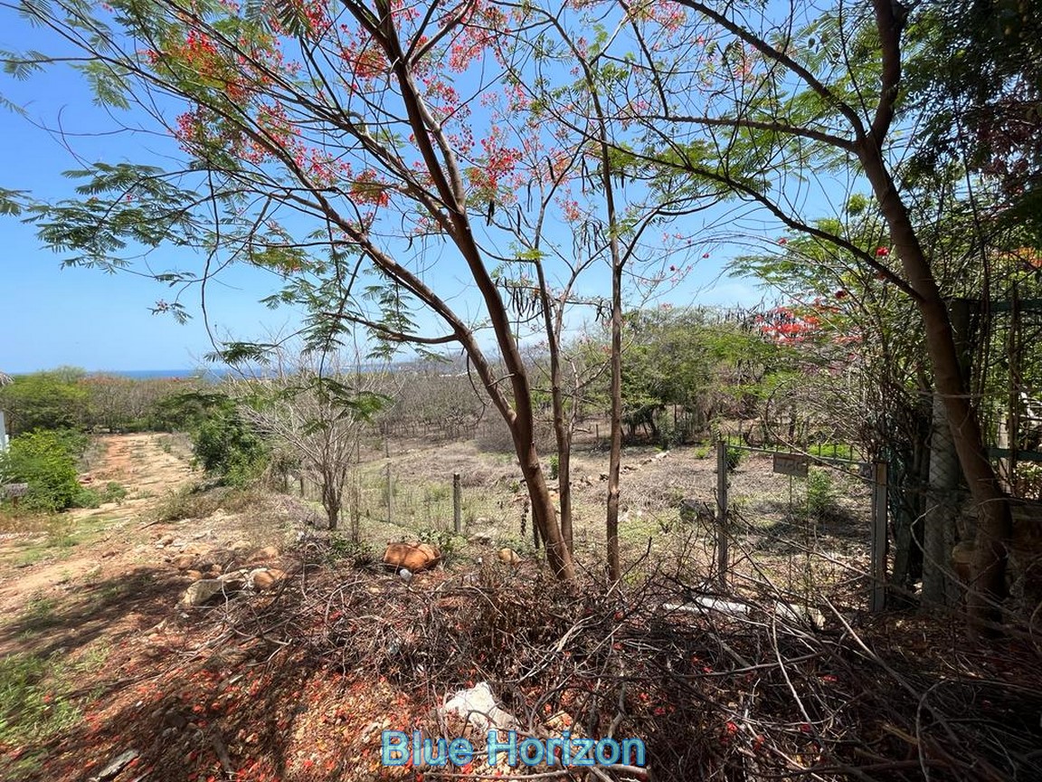 Lot Punta Puerto Escondido for sale only a few min. from the beach