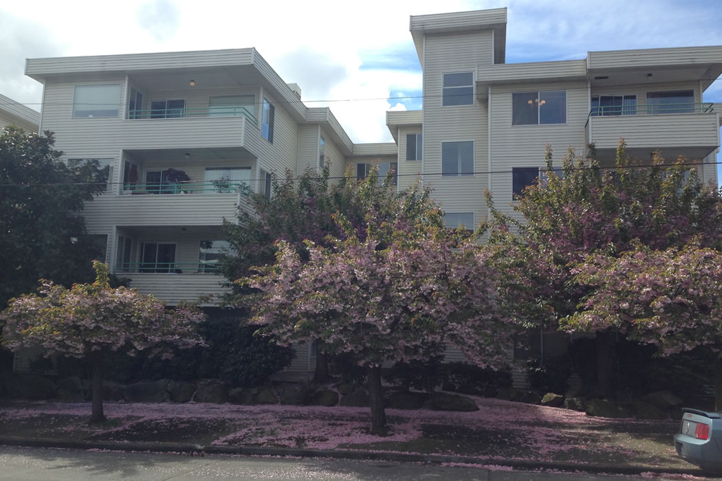 Blue Horizon Properties 1425 NW 61st Street