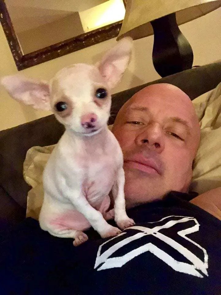 Chihuahua saves the life of a grieving man and in return has helped