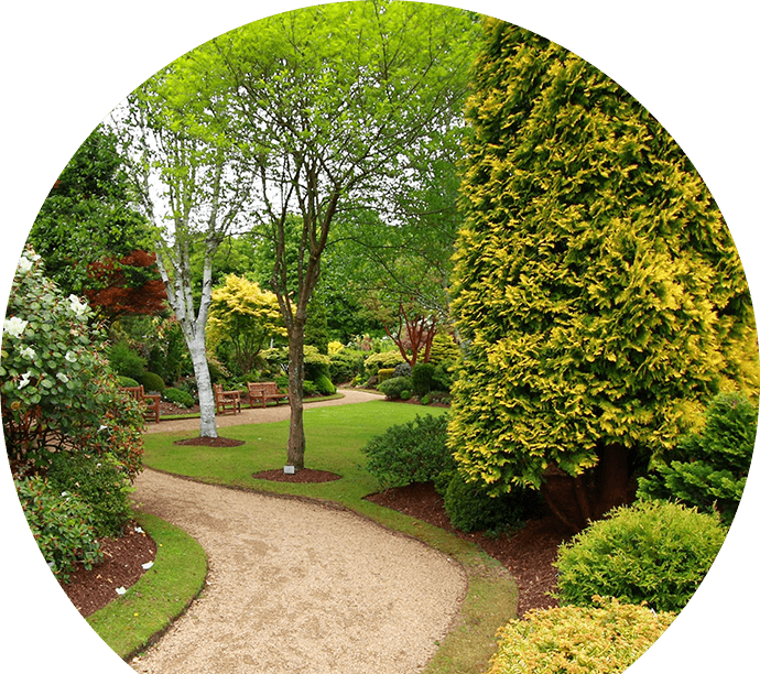 aboutus Blue Marble Landscape