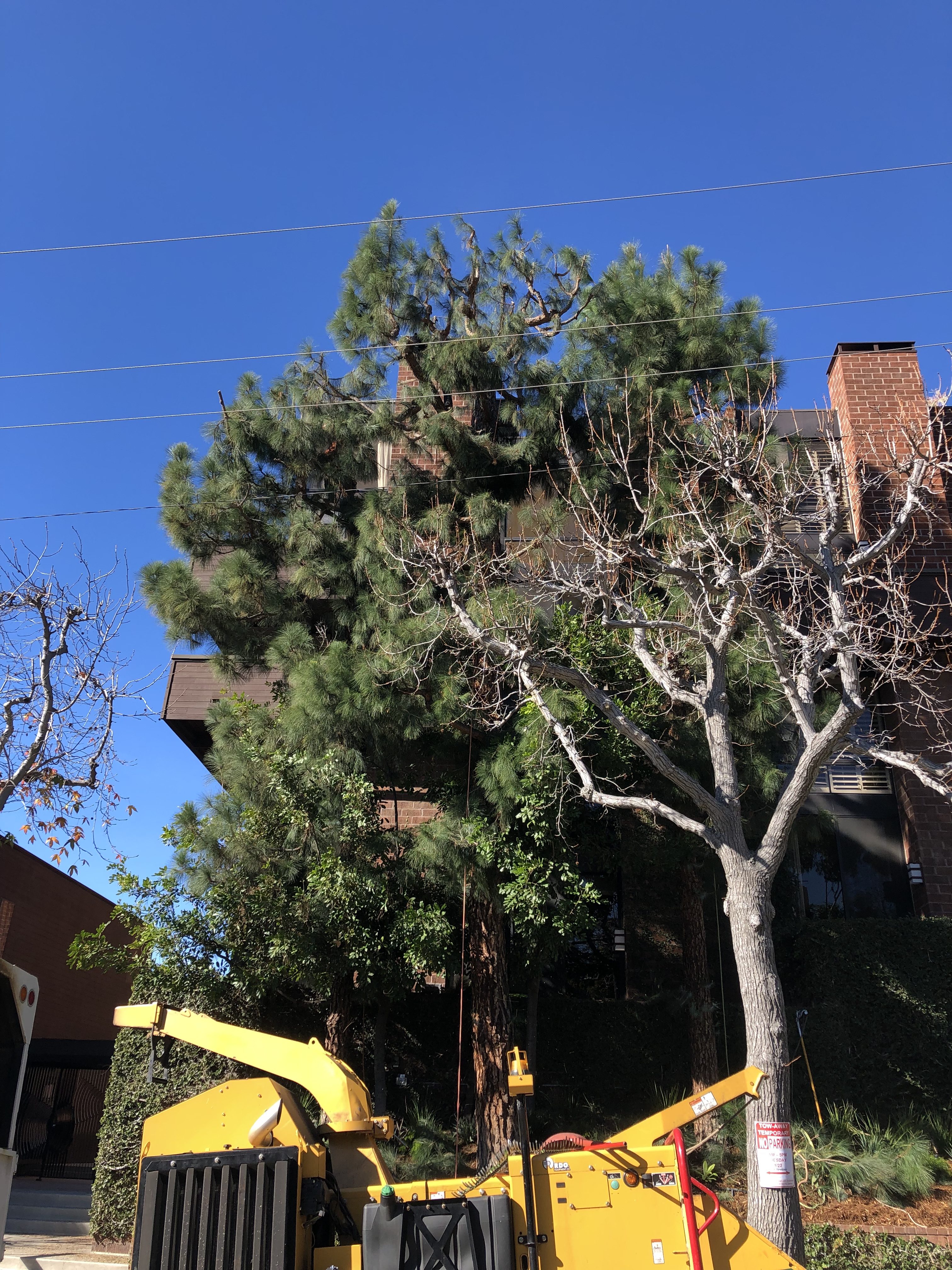 IMG_5694 Blue Marble Landscape