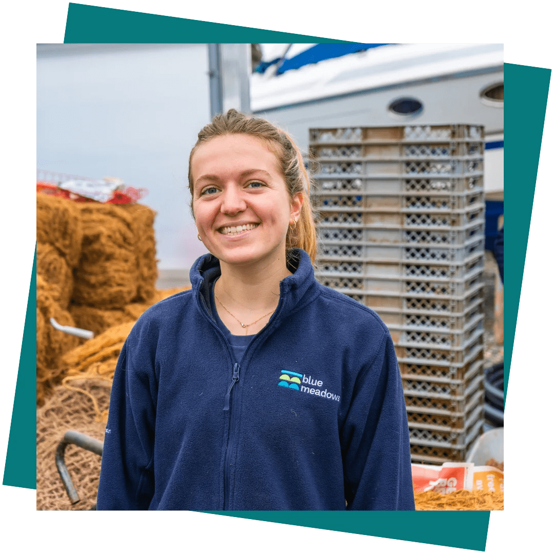 Our team Blue Meadows