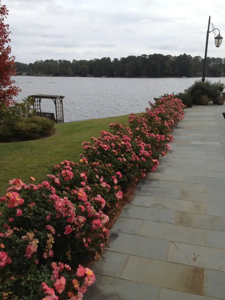 Landscaping Gallery Blue Moon Landscaping
