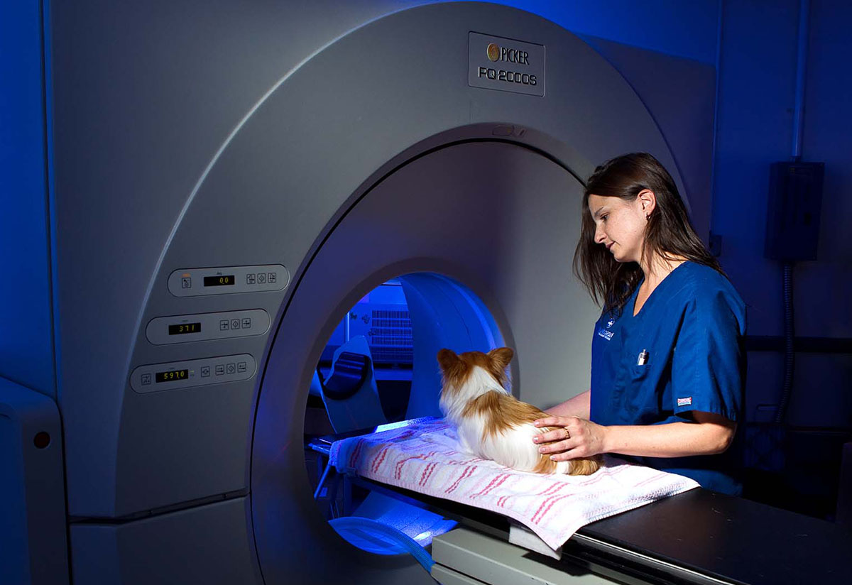 BluePearl Pet Surgery Portland, OR