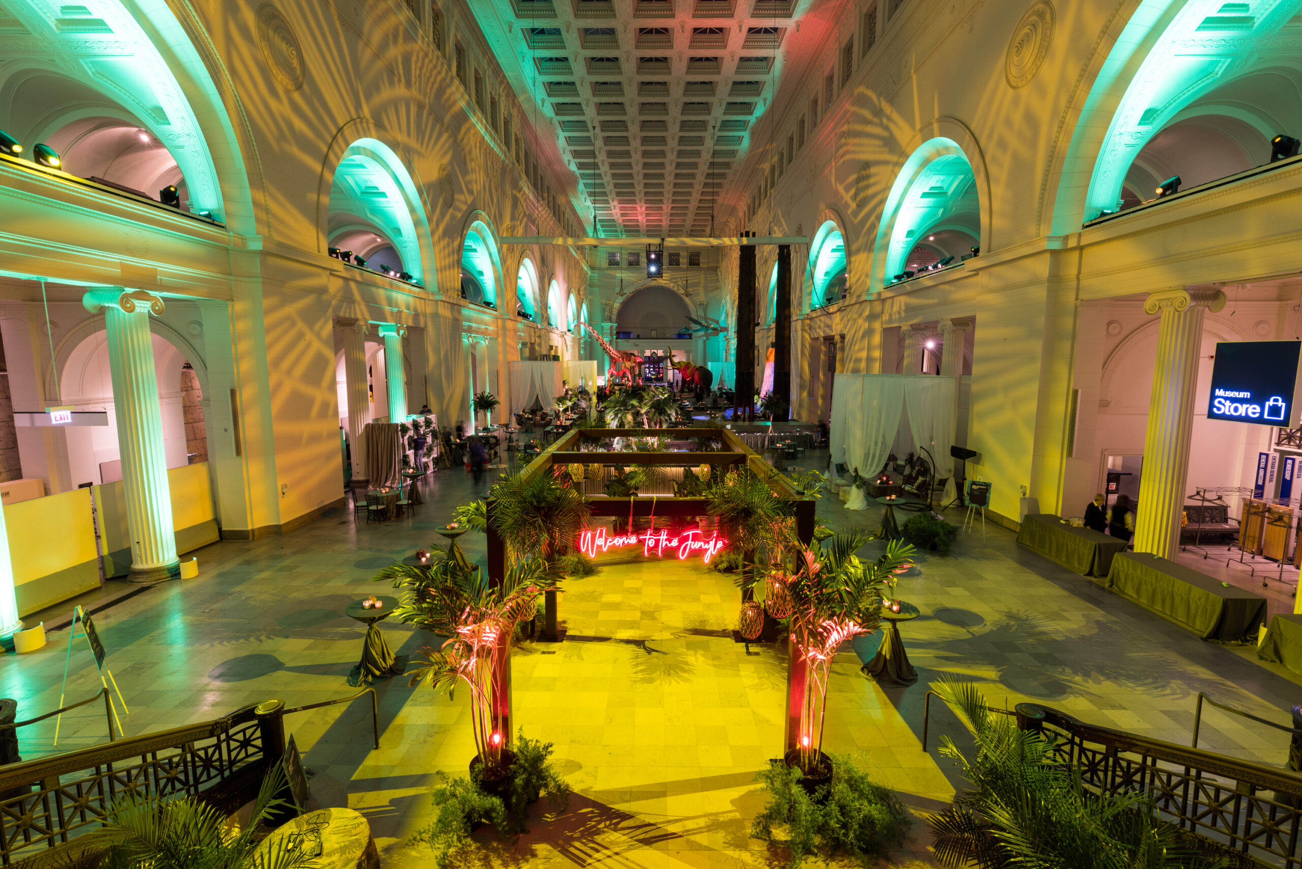 Field Museum Blue Plate