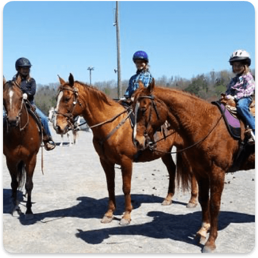 Group Horseback Riding Lessons in Knoxville Blue Point Stables