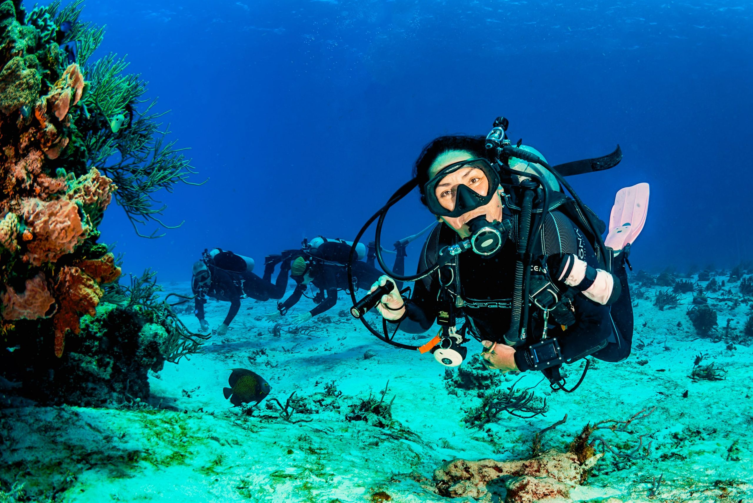 Cozumel Dive Packages Blue Project Diving